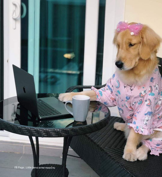 คุณแม่สายชิลล์ profile icon