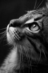 Wiwin Winarni profile icon