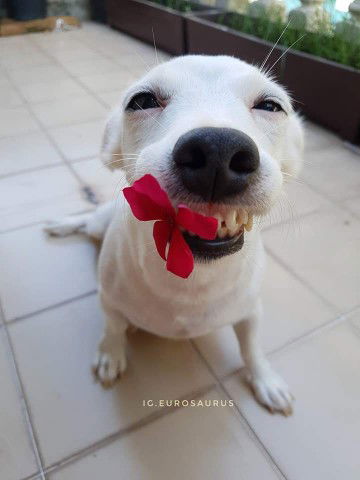 Saowalak Kluaythong profile icon