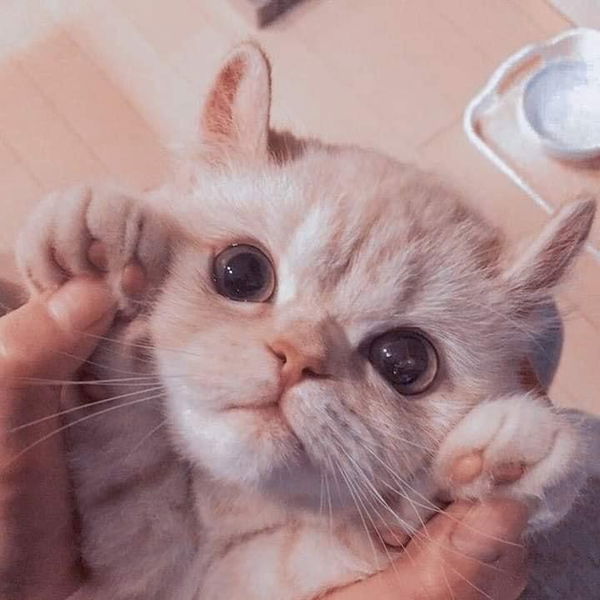 คุณแม่ profile icon