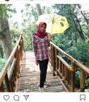 Hafifahh profile icon