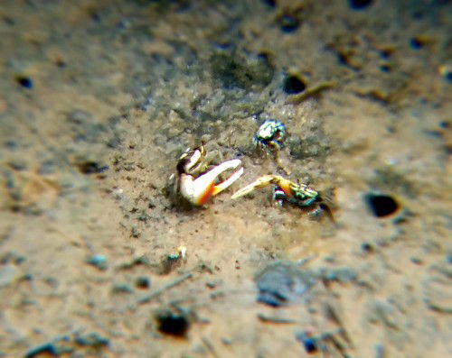 Rizky Patriana profile icon