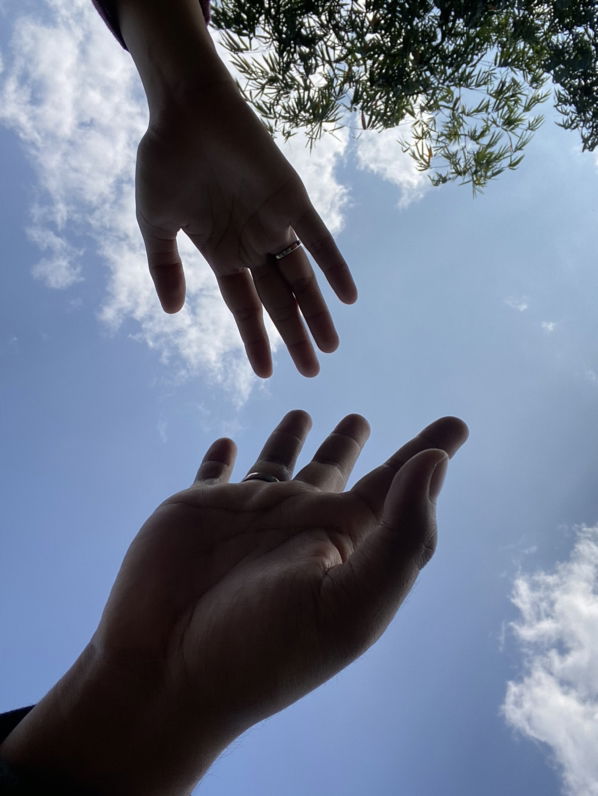 utrprht profile icon