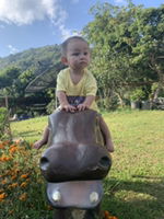 Yonlada Yawan profile icon