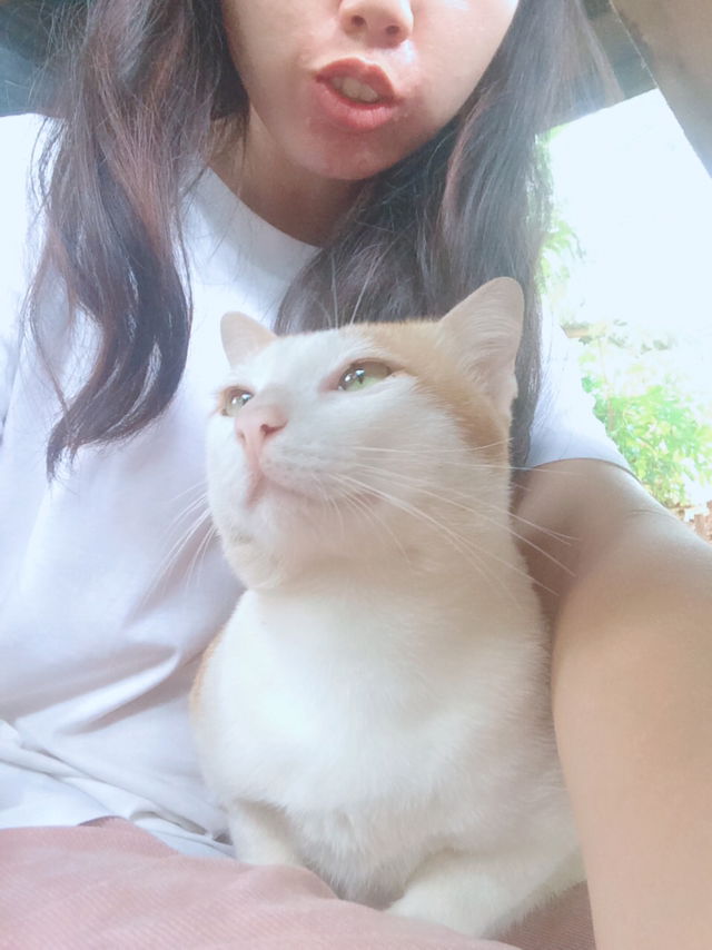 หนูน้อย profile icon