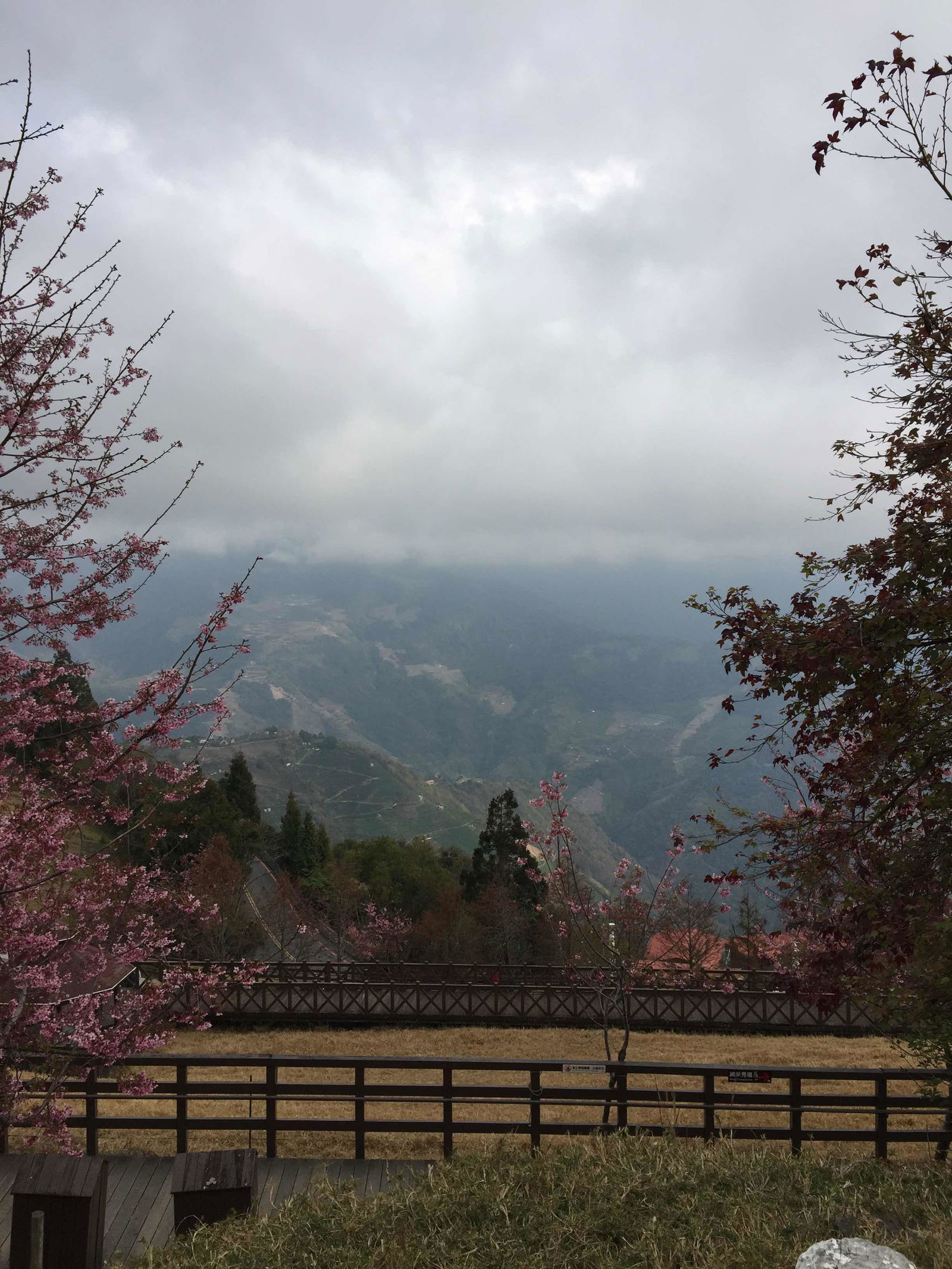 Cossty Cheng profile icon