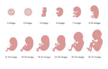 Dek Putik profile icon