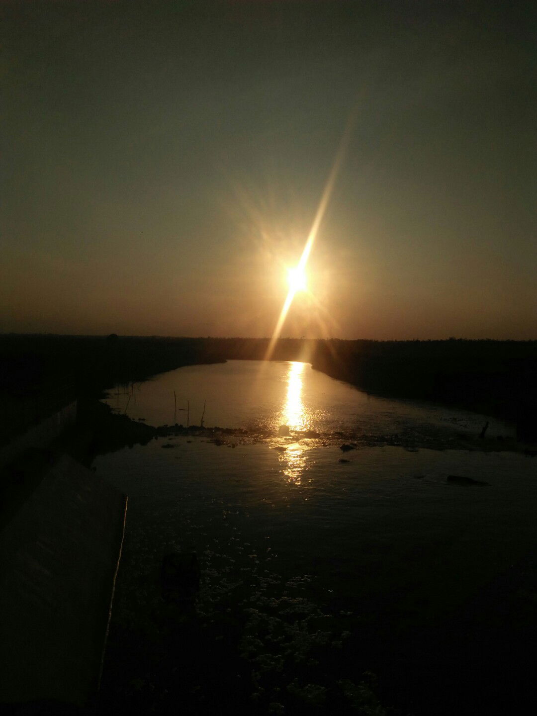 ummu zakaria abdulhamidien profile icon