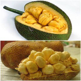 Evi Irtifaul profile icon