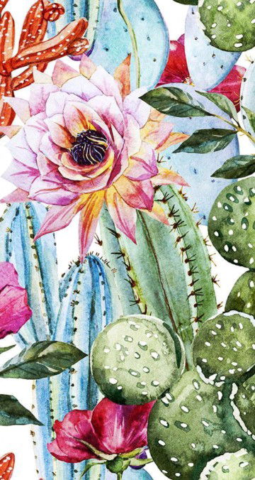 Abiey Wasabiey profile icon