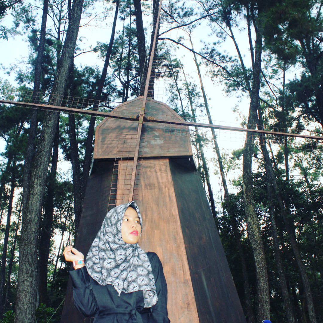 Desy Wulandari profile icon