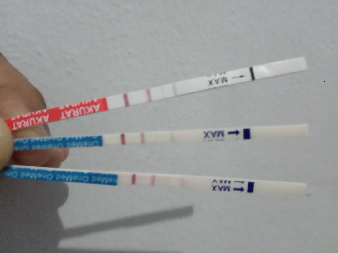 Ocvida ie profile icon