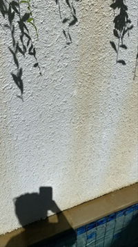 Mega Asdan profile icon