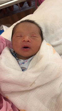 armeera profile icon