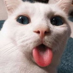 Chanidapon profile icon
