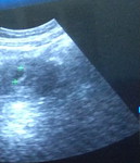 desy hyulining profile icon