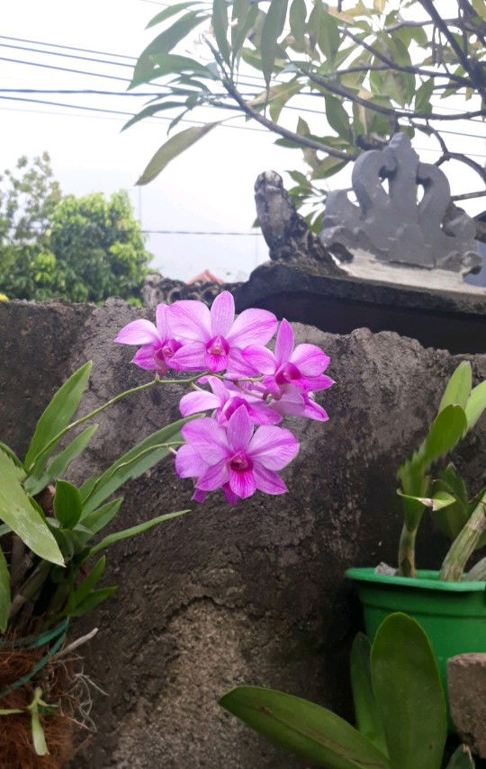 karina's mom profile icon