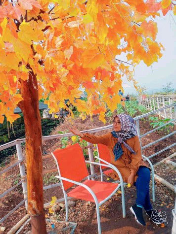 Dian Mardiana profile icon