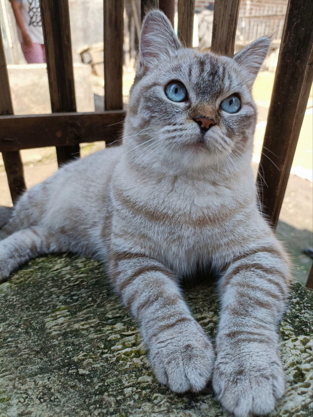 Rimma Nurullya profile icon