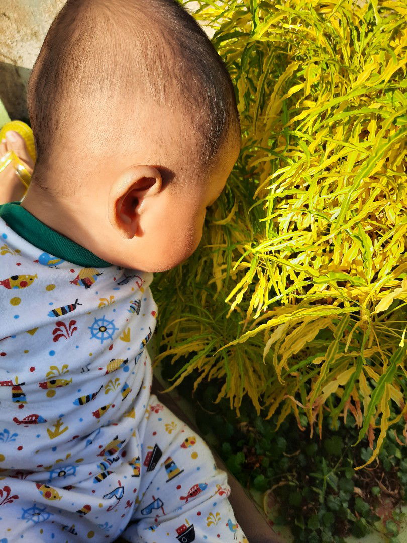 Guillaume Akbar profile icon