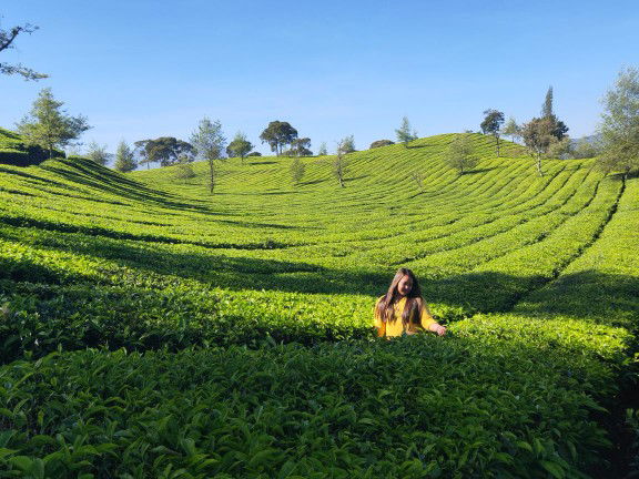 Windy ariska profile icon