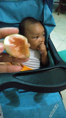 Buah Tin