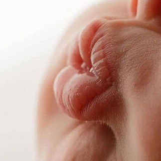 Farida Hariani II profile icon