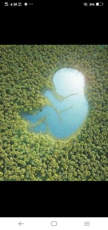 Jemary Matsumoto profile icon