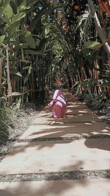 Jamilah profile icon