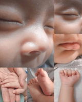 Kasmee Tayeh profile icon