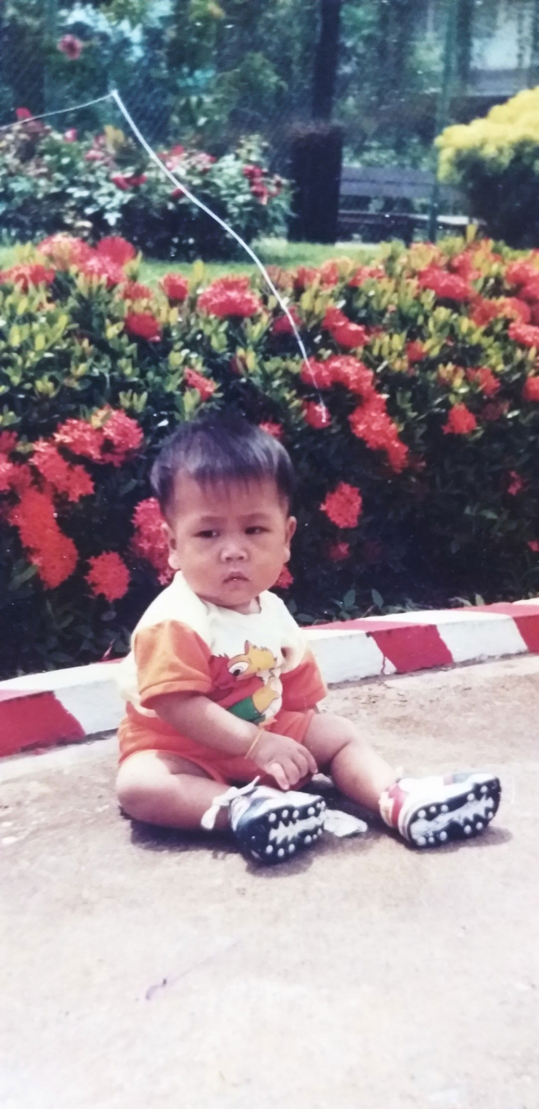 Yim Ying profile icon