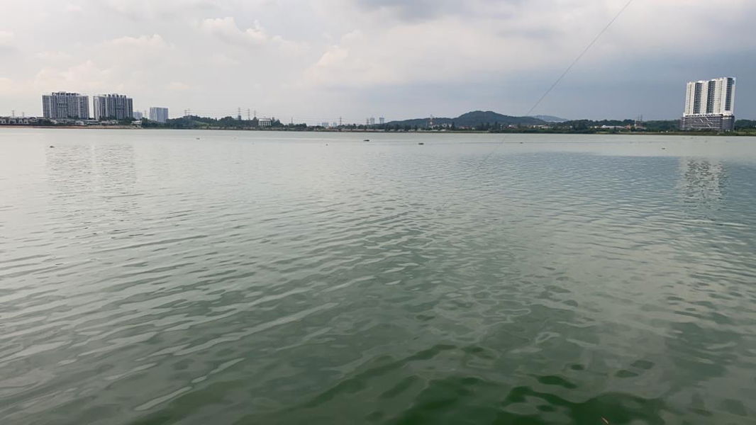 mastura profile icon