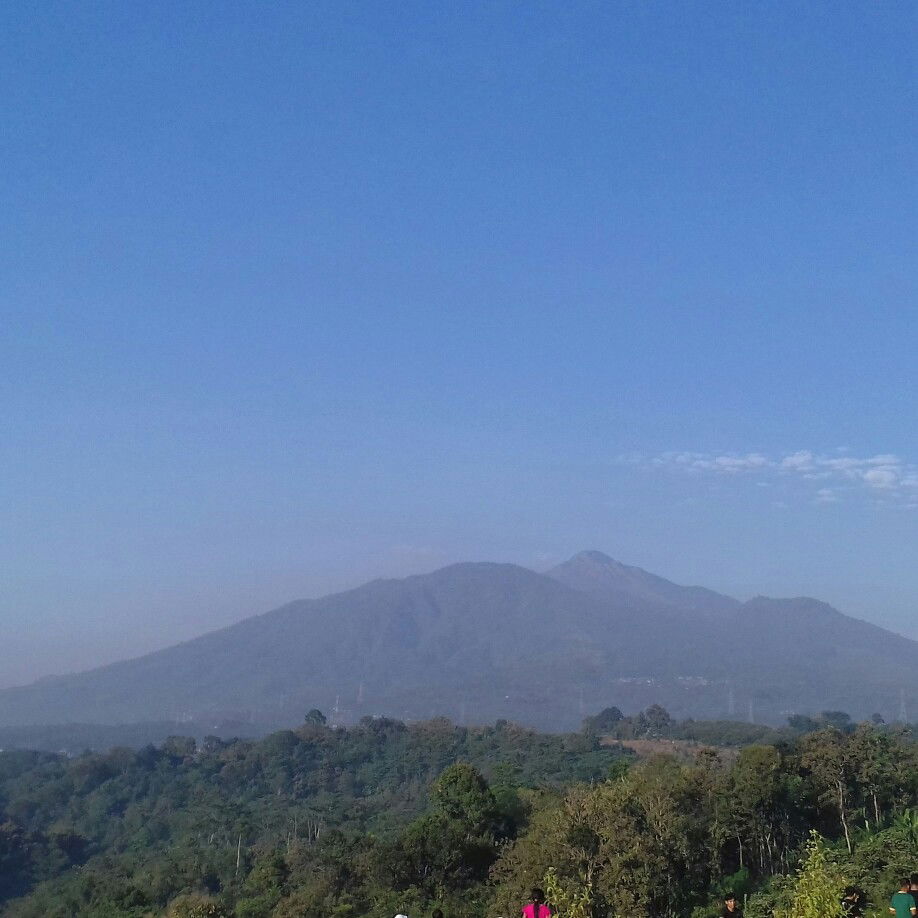 fatiya asa profile icon