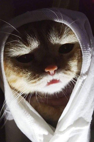 คุณแม่เลี้ยงเดี่ยว profile icon