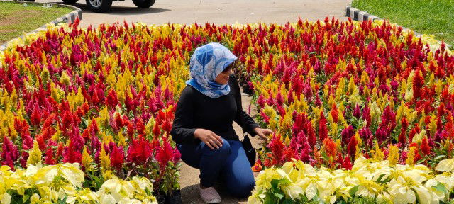 Isti Wulandari profile icon