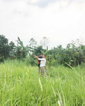 Siti Fauziah profile icon