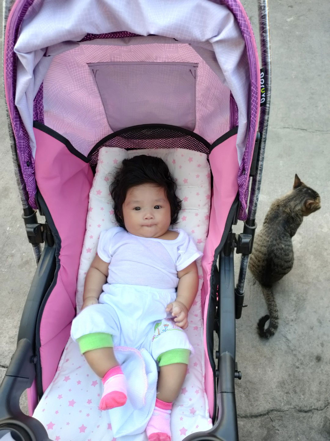 Gyle Marquez profile icon