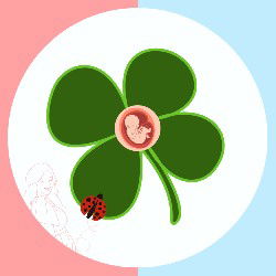Lucky Four Leaf Clover profile icon