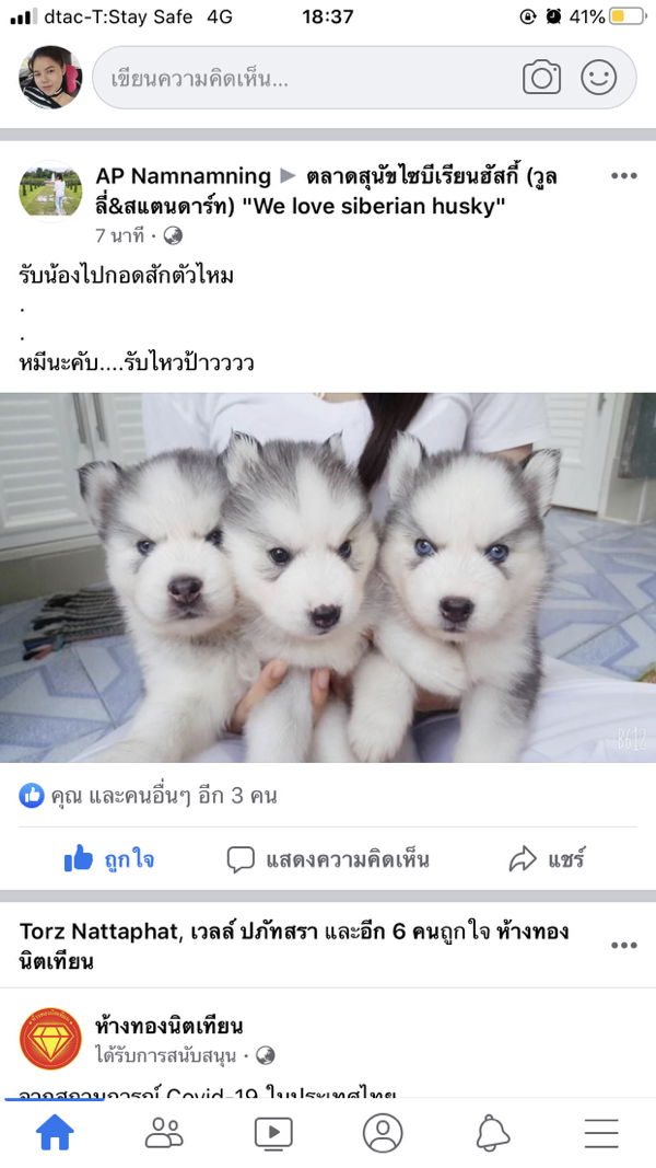 gkyssng profile icon