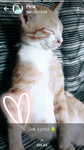 Ron profile icon