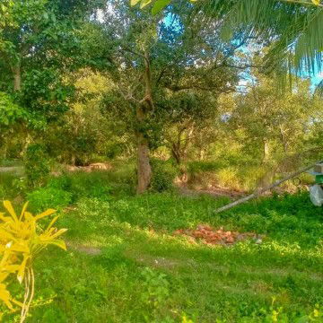 Yalung Glads profile icon