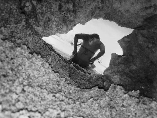 Amylan Caednel profile icon