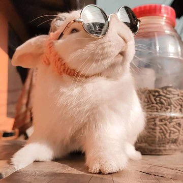 อชิ profile icon