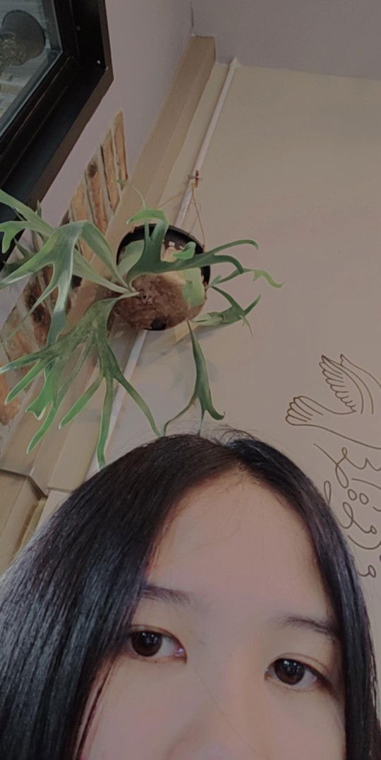 Surattana profile icon