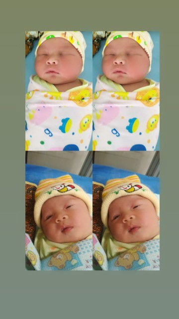 pus pita profile icon