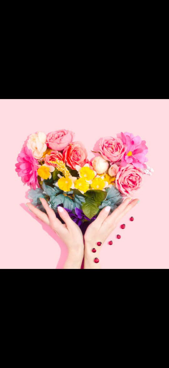 Stephany profile icon