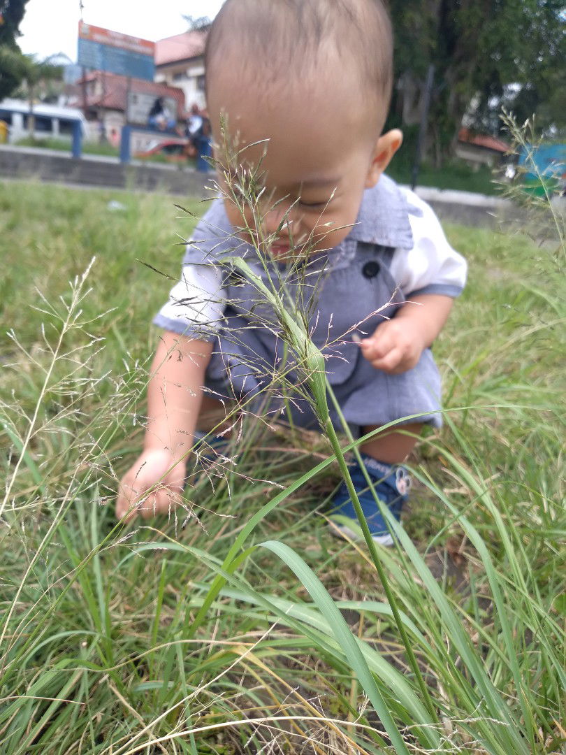 Aliva Dwi profile icon