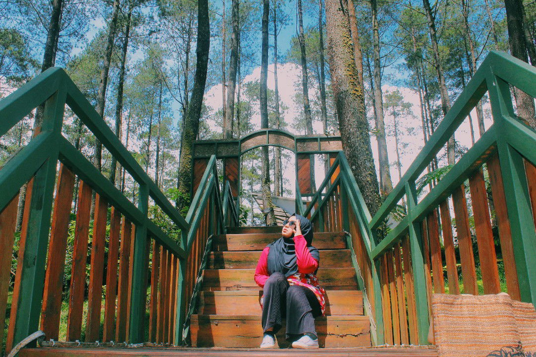 Cholis Qd profile icon