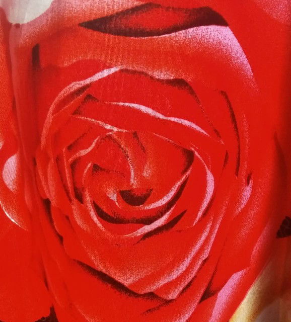 Ummu Auladiha profile icon