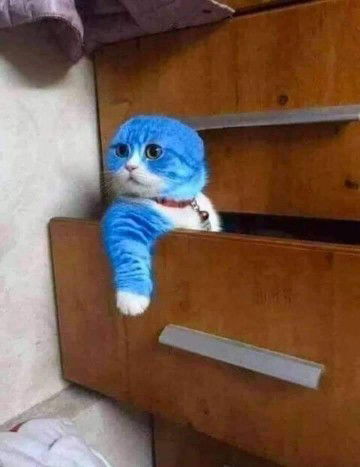 Ayin Balqis profile icon